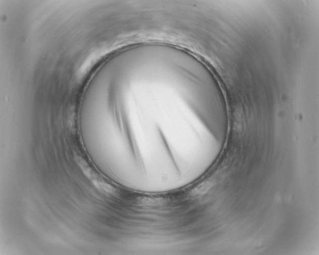 X0000088131499200705291320