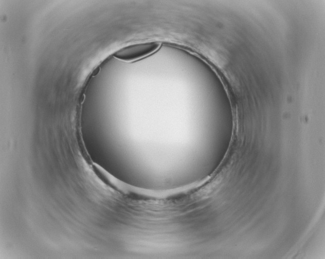 X0000088131500200705291320