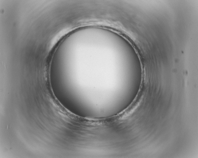 X0000088131501200705291320