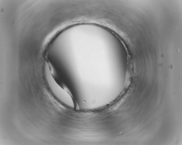 X0000088131502200705291320