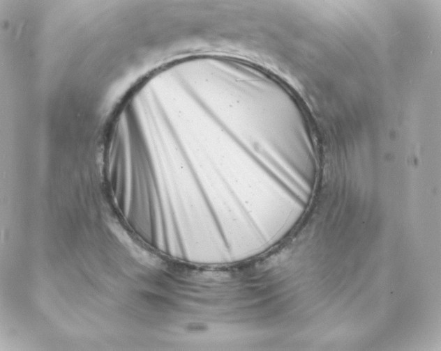 X0000088131503200705291320