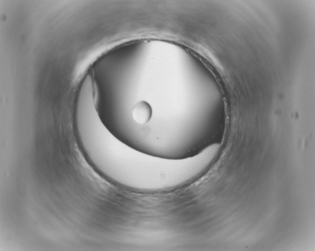 X0000088131504200705291320