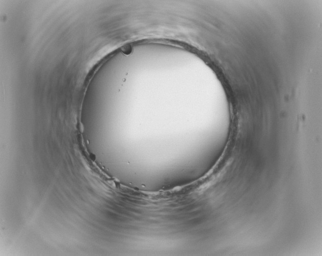 X0000088131505200705291320