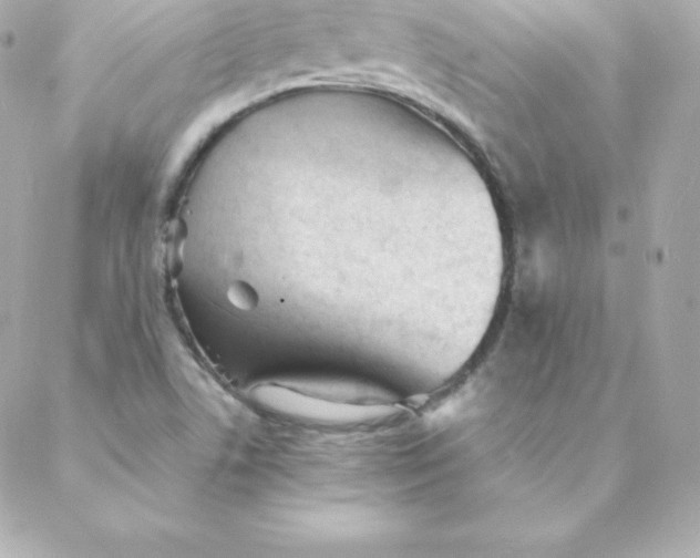 X0000088131506200705291320