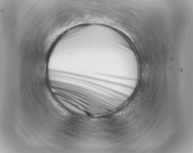 X0000088131507200705291320