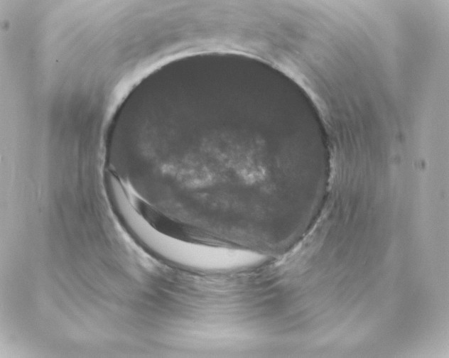 X0000088131508200705291320