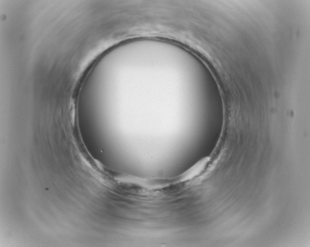 X0000088131509200705291320