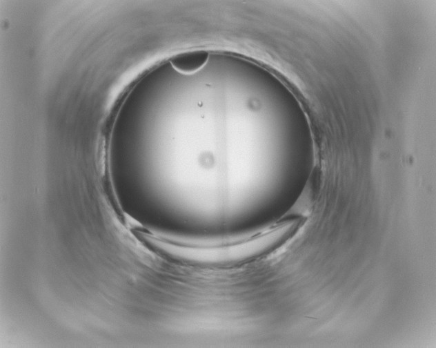 X0000088131510200705291320