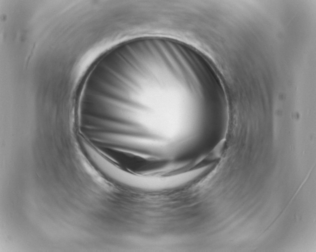 X0000088131511200705291320