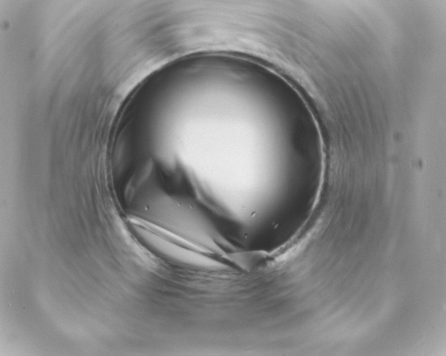 X0000088131513200705291320