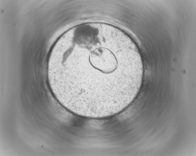 X0000088131514200705291320