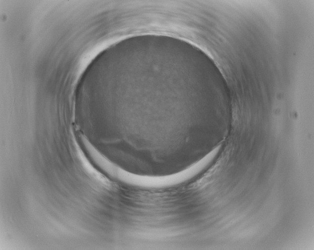 X0000088131515200705291320