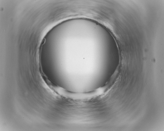 X0000088131516200705291320