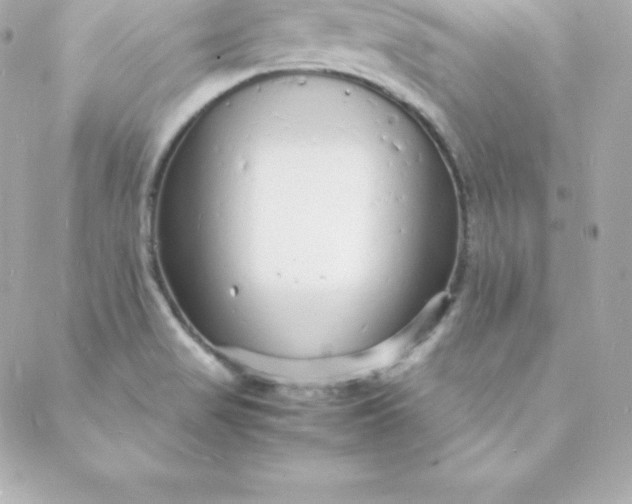 X0000088131517200705291320