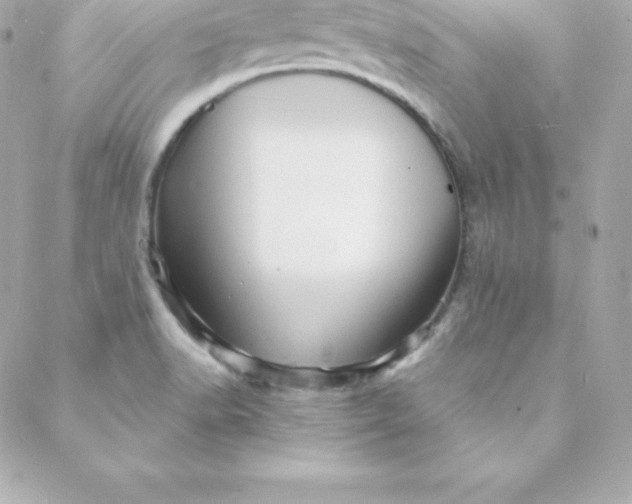 X0000088131518200705291320