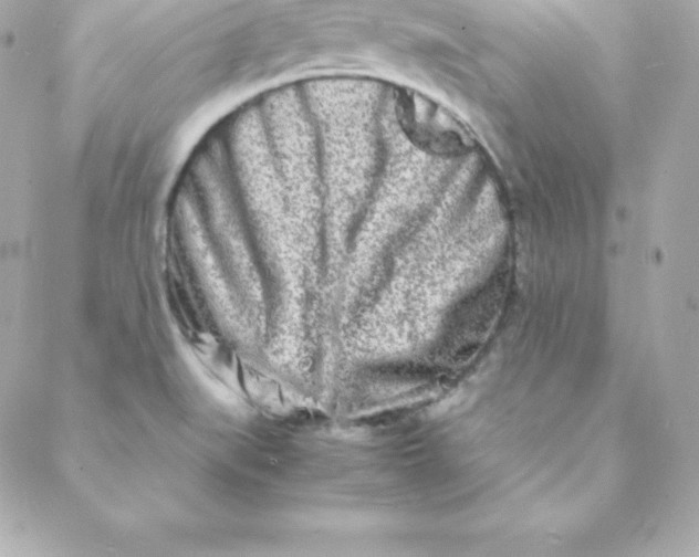 X0000088131519200705291320