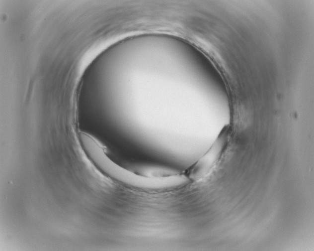 X0000088131520200705291320