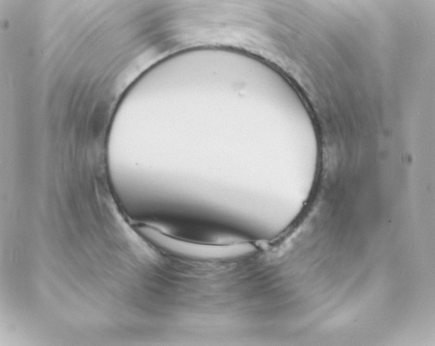 X0000088131521200705291320