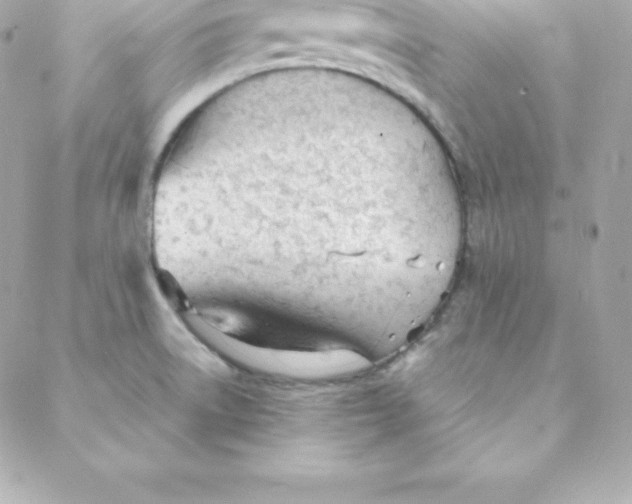 X0000088131522200705291320