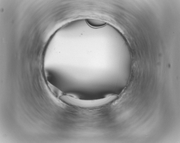 X0000088131523200705291320