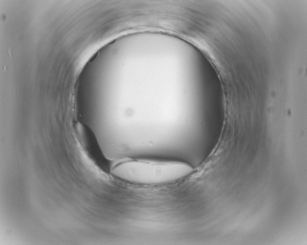 X0000088131524200705291320