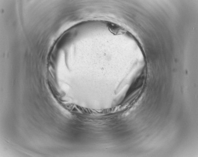 X0000088131525200705291320