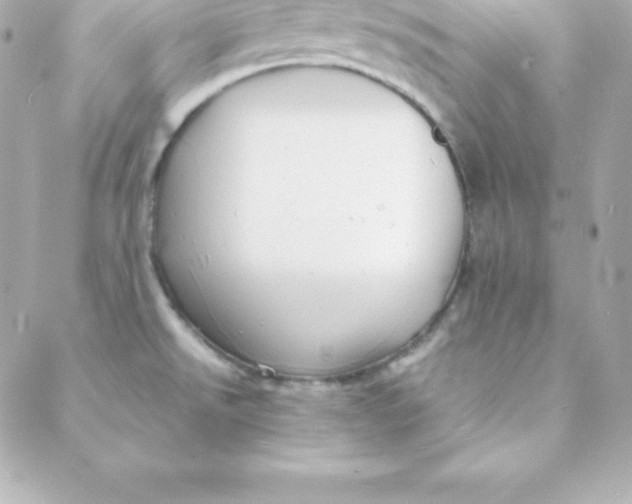 X0000088131526200705291320