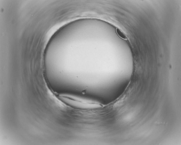 X0000088131527200705291320