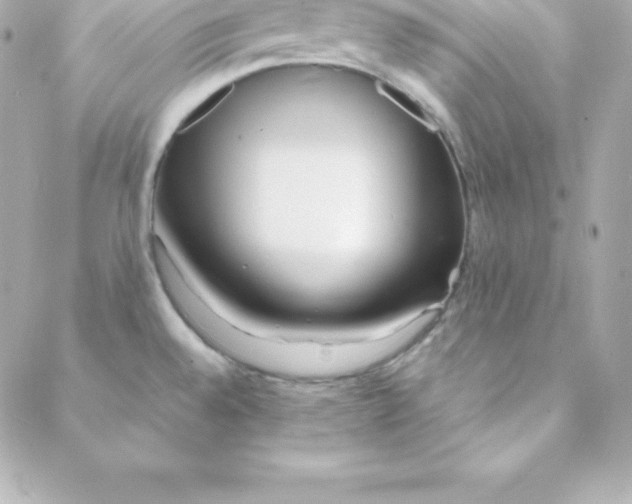 X0000088131528200705291320