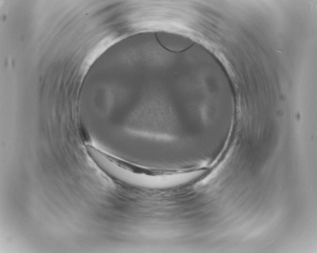 X0000088131529200705291320