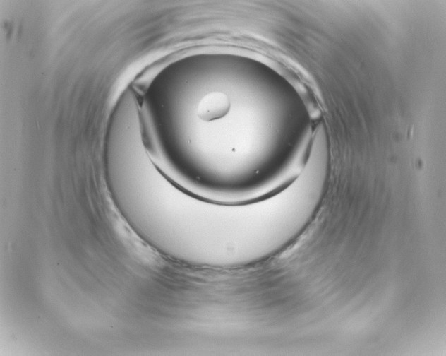 X0000088131530200705291320