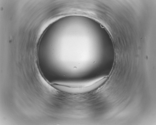 X0000088131531200705291320