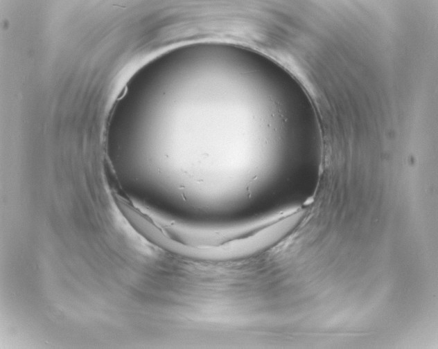 X0000088131532200705291320