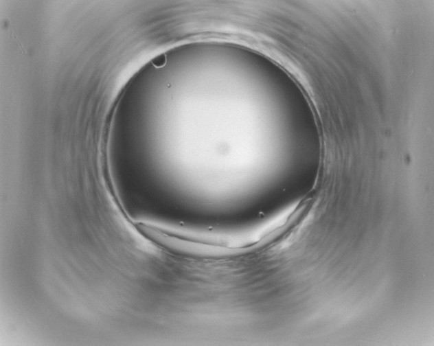 X0000088131533200705291320