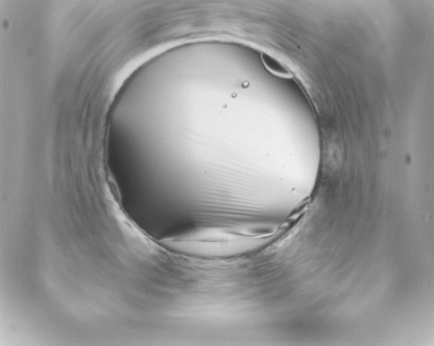 X0000088131534200705291320