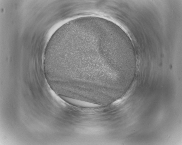 X0000088131535200705291320