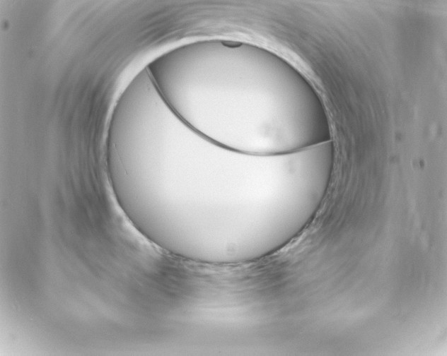 X0000088131536200705291320