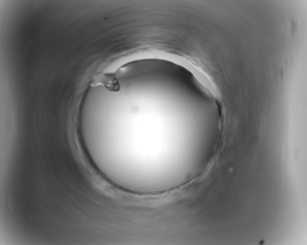 X0000088130001200706041327