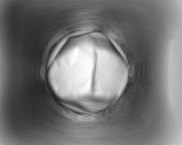 X0000088130004200706041327