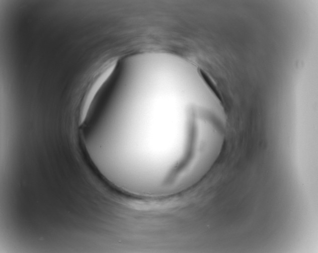 X0000088130005200706041327