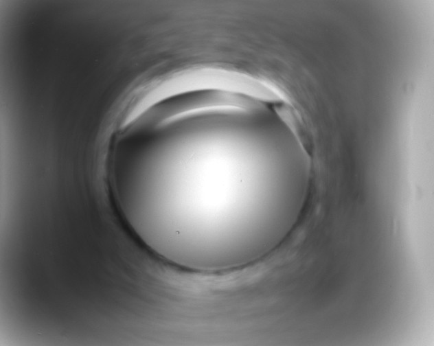 X0000088130007200706041327