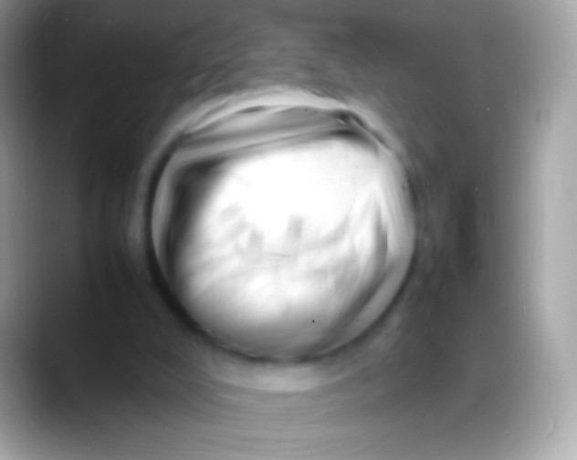 X0000088130008200706041327