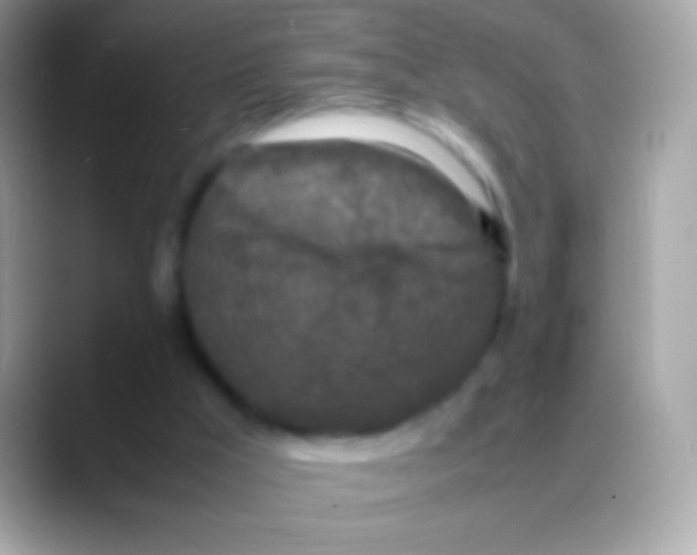 X0000088130009200706041327