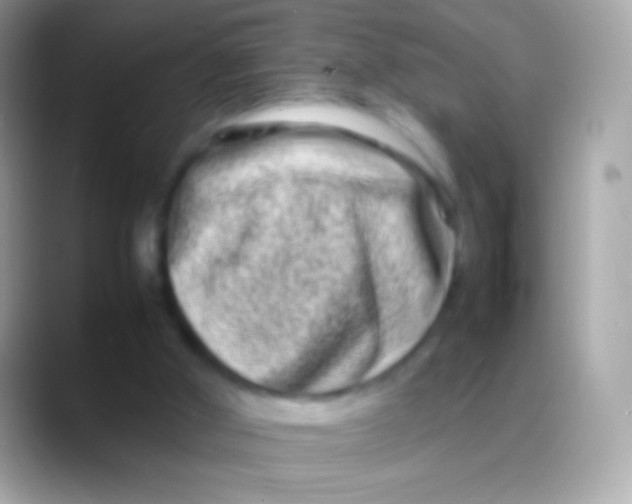 X0000088130010200706041327