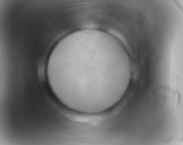 X0000088130012200706041327