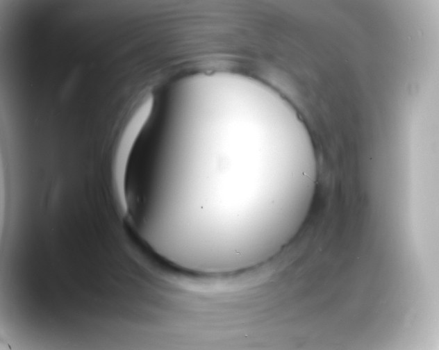 X0000088130013200706041327