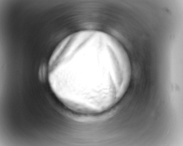 X0000088130014200706041327