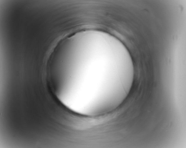 X0000088130015200706041327