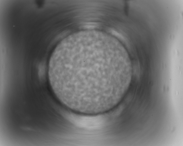 X0000088130016200706041327