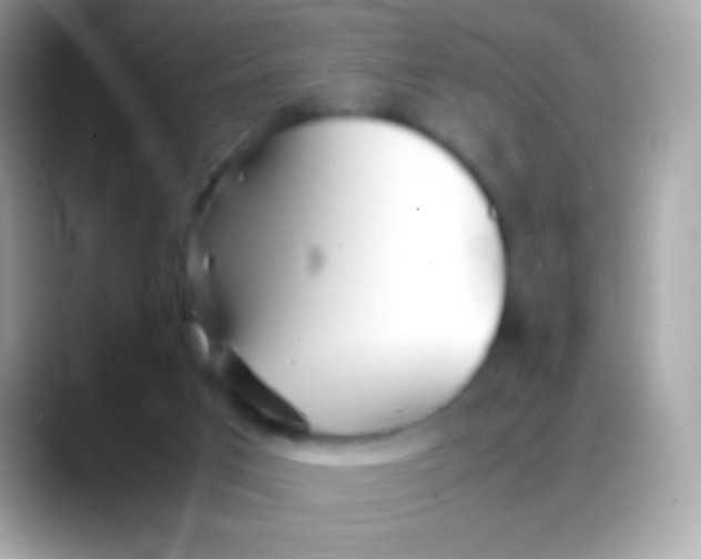 X0000088130017200706041327